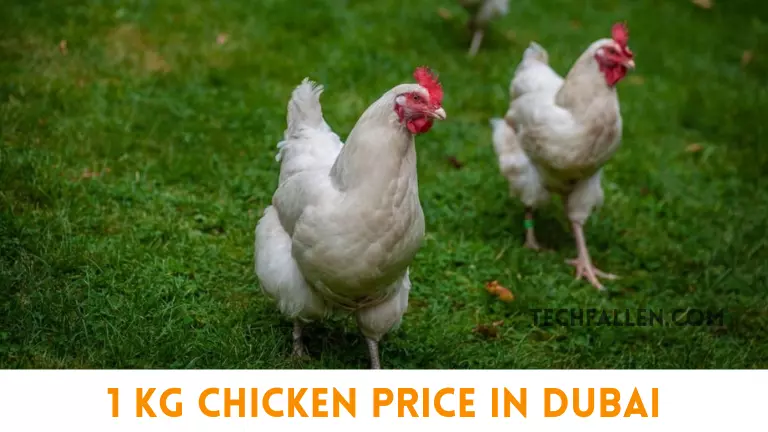 1 KG Chicken Price in Dubai
